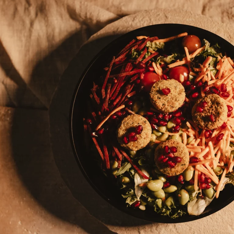 mywellness-bowl-salat-mit-falafeln